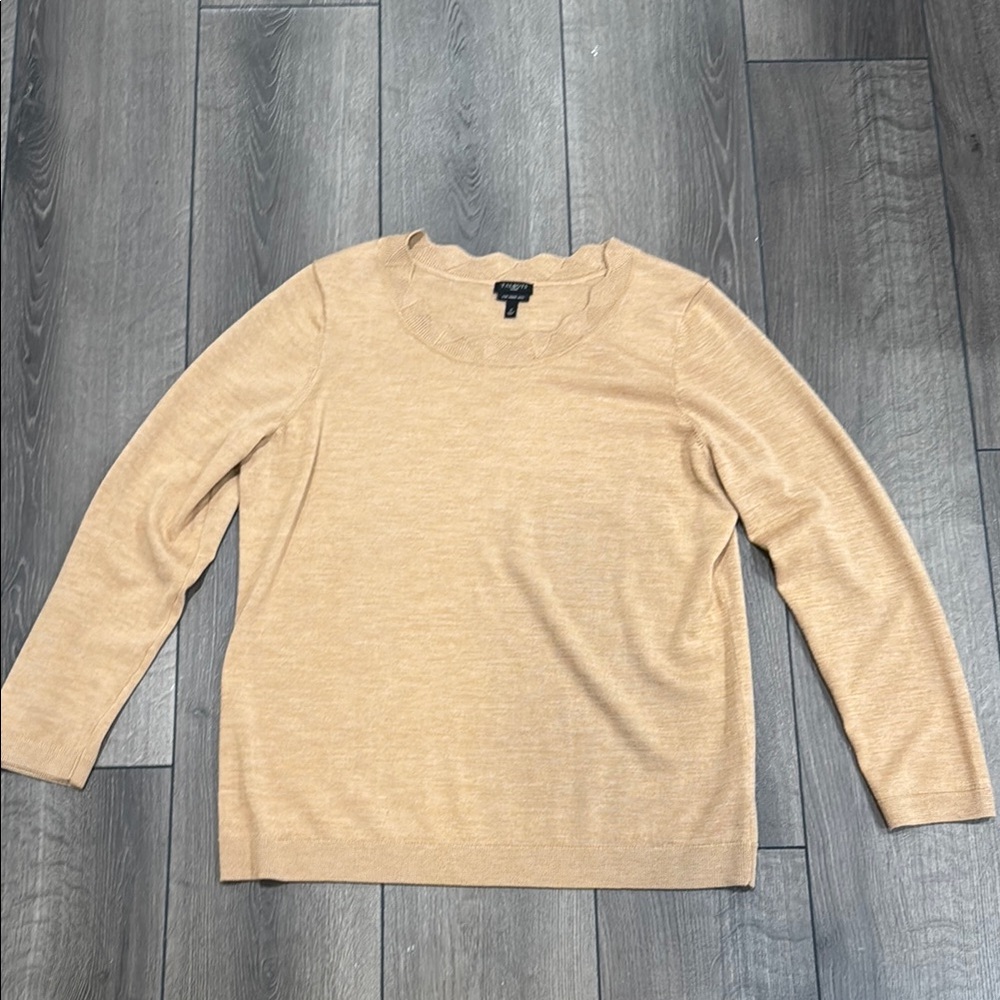 Talbots Tan Marino Wool Long Sleeve Top Sz X